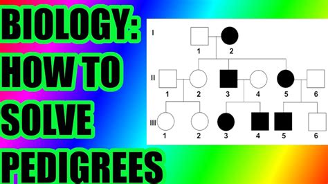 Biology How To Solve Pedigree Charts And Questions Youtube