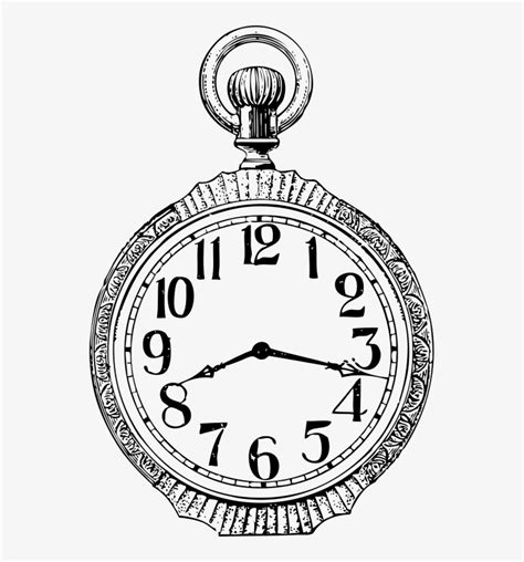 Reloj De Bolsillo Dibujo Transparent Png 539x800 Free Download On