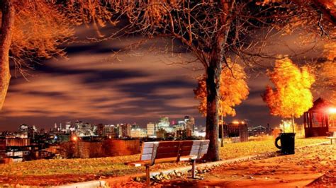 Autumn Fall Landscape Nature Tree Forest Leaf Leaves Path