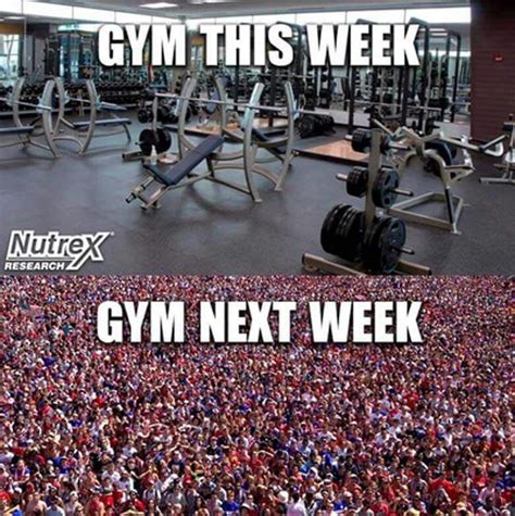 Gym Humornew Years Resolutions Gym Memes Gym Humor New Years