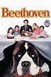 Beethoven (1992) | The Poster Database (TPDb)