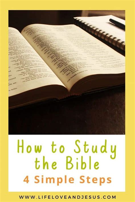 How Beginners Can Learn To Study The Bible Effectively Life Love