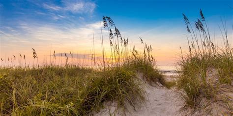 The Best Things To Do In Amelia Island With Photos Tripadvisor