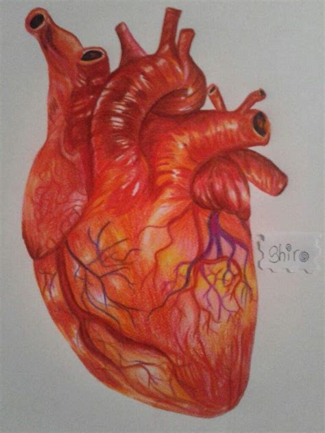 Corazón •arte Amino• Amino
