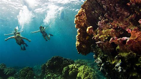 Best Snorkeling In Hawaii Big Island Maui And Oahu Expedia Viewfinder