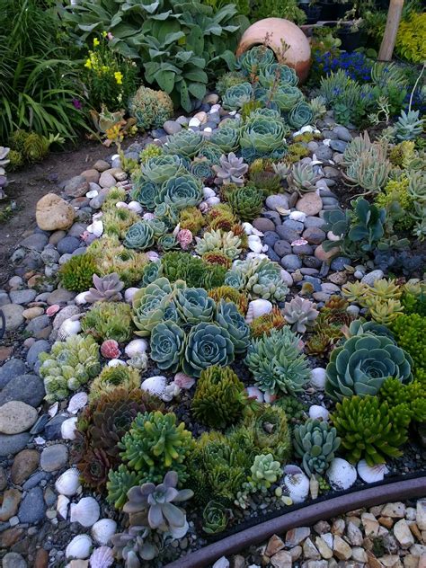 25 Succulent Garden Ideas That Will Make Your Garden Stand Out