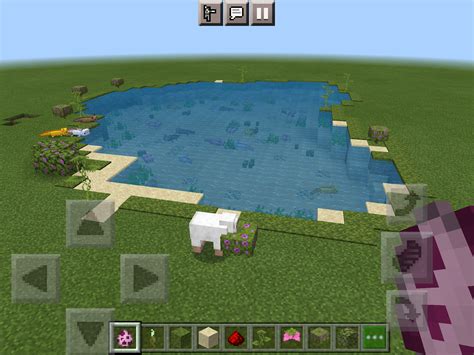 I Made An Axolotl Pond Rminecraft