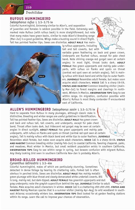 Review Birds Of Eastern Western North America A Photographic Guide