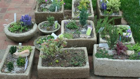 An Introduction To Growing Alpine Plants Alpine Garden Society