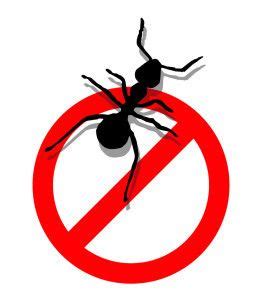 We checked.) however, finding a lot of hits on your search doesn't necessarily mean that these methods will work. Home Pest Control Frisco TX: Don't Do It Yourself