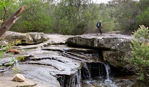 New horizons villagers decide to move away from the island. Stepping Stone Crossing to Cascades trail | NSW National Parks