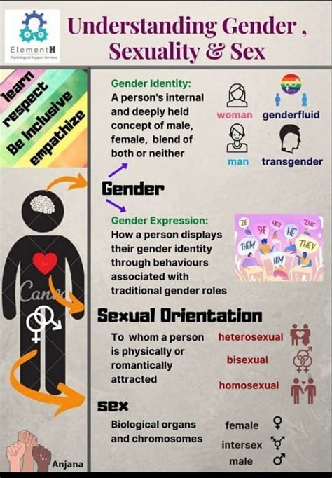 Understanding Sexuality And Gender Poster For Dummies Anjana