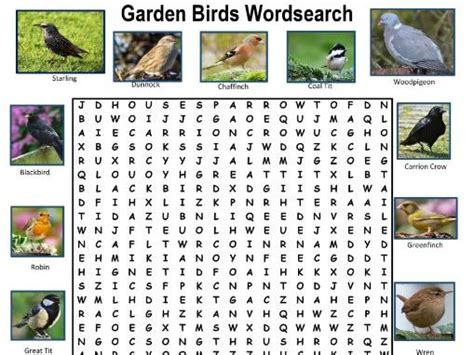 Garden Birds Wordsearch Teaching Resources