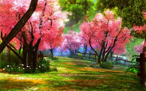 Pink Trees In Spring Park Hd Wallpaper Background Image 1920x1200