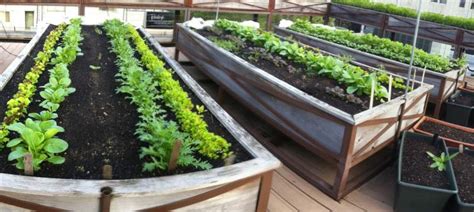 Our corrugated metal garden beds are made from 100% recyclable steel material. Raised Bed Gardens On Rooftops - Things To Consider | Green Patches - Mediterranean Gardening