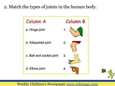 The human body is the structure of a human being. Fun Learning For Kids : Human Anatomy