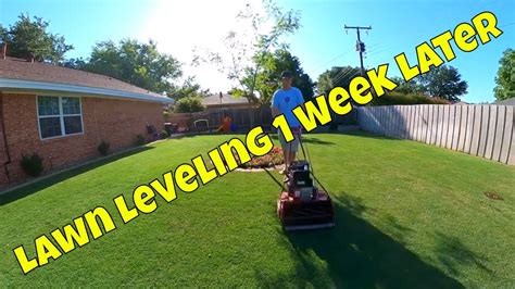 A hand rake, landscape rake, plastic leaf rake, a large push broom, a shovel, an edger, and a wheelbarrow. Lawn Leveling 1 Week Update - YouTube