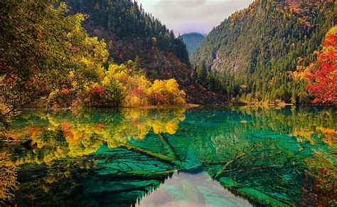 Jiuzhaigou National Park Autumn Trees Beautiful Lake Mountain
