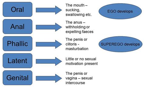 Psychosexual Stages Simply Psychology
