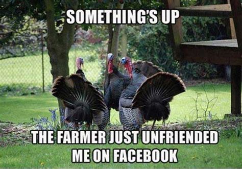 Funny Thanksgiving Memes That Make You Laugh Out Loud