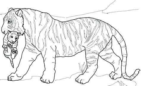 The male tiger is almost three meters long from the snout to the tail's tip see our tiger coloring sheet's collection below. Printable Tiger Coloring Pages at GetColorings.com | Free ...