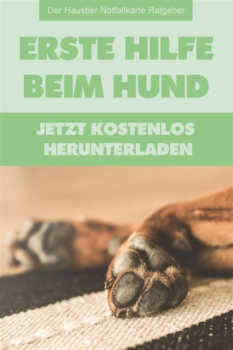 Sollten sie kein geeignetes programm zum anzeigen dieser dateien besitzen, so können sie es kostenlos aus dem internet herunterladen. ERSTE HILFE BEIM HUND KOSTENLOSER RATGEBER | Hunde, Welpen, Haustiere