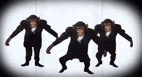 Dancing Chimp Gif