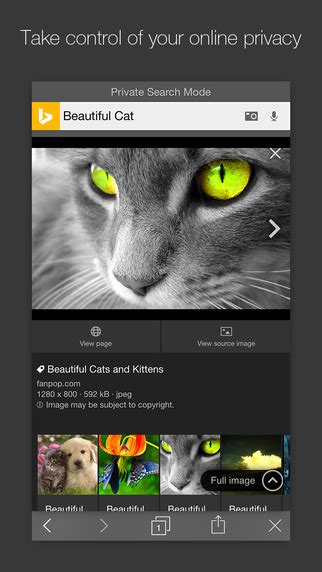 Bing App Gets Private Search Mode New Image Search In Line Video