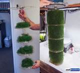 Images of Algae Turf Scrubber