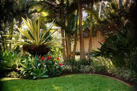 coorparoo tropical feature bowl | Small tropical gardens, Tropical garden design, Tropical ...