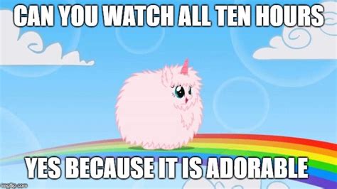 Pink Fluffy Unicorns Dancing On Rainbows Imgflip