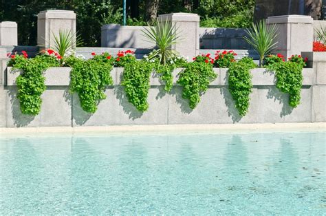 Your Guide To In Pool Planters