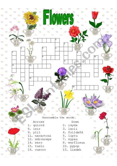 This clue was last seen on new york times crossword july 18 2020 answers in case the clue doesn't fit or there's something wrong please contact us. Flowering Plant Crossword Clue 8 Letters | Best Flower Site