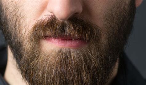 Each strand of hair grows from the root of a hair follicle. 5 Unique Ways for Growing Facial Hair When Having Skin Issues