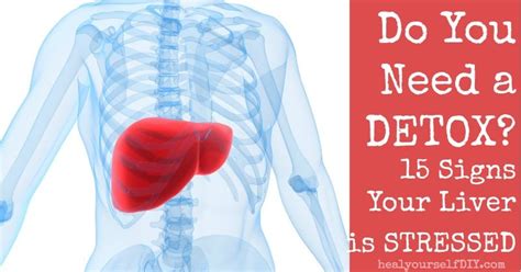 Do You Need A Detox 15 Signs Your Liver Is Stressed Heal Yourself