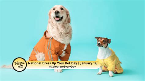 January 14 2024 National Dress Up Your Pet Day Ratification Day