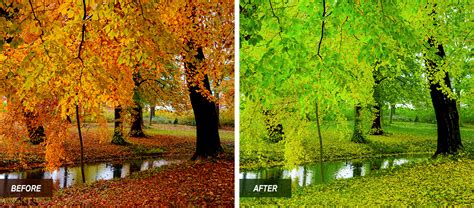 It works great with bright and inviting colors on the photo. Lightroom preset - Fall To Spring (Free) - Polarpx