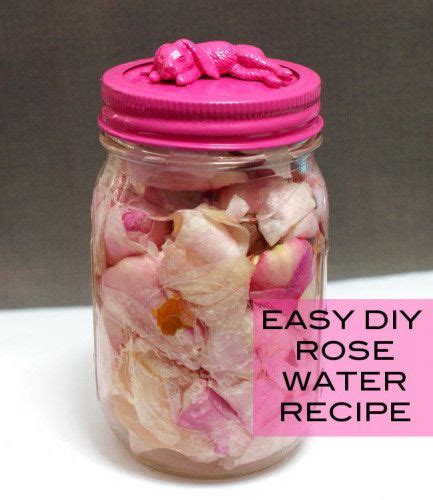 Beauty Simple Diy Homemade Rose Water Recipe For Your Diy Beauty And