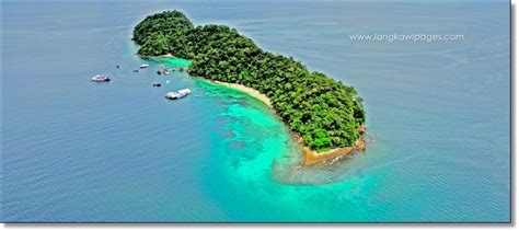 They are important to the fisheries and tourism industries and are breeding and nursery grounds for many marine organisms. LANGKAWI TRAVEL GUIDE - YOUR DREAM VACATION: Pulau Payar ...