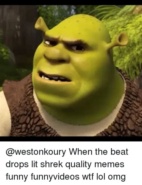 When The Beat Drops Lit Shrek Quality Memes Funny