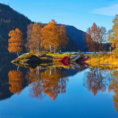 Fall In Norway Paisagens De Outono All Nature Paisagens