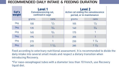 Recovery For Catsdogs Cat And Dog Food Royal Canin®