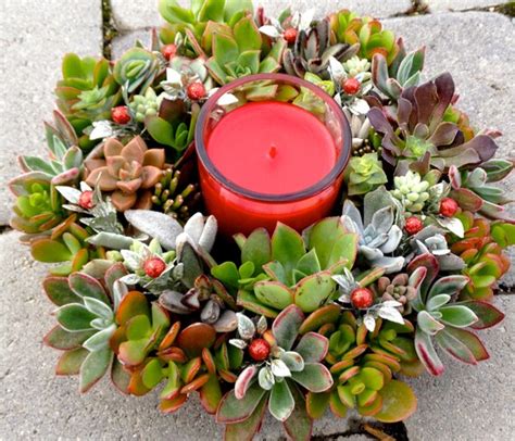 Succulent Wreath Holiday Centerpiece Hanging By Woogiesplace