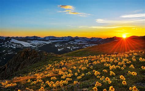 Sunset Sun Rays Landscape Stone Peaks Mountain Meadow With Yellow