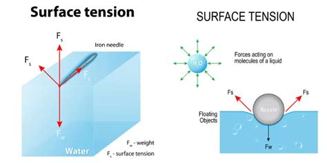 Surface Tension Water Cartoon Hot Sex Picture