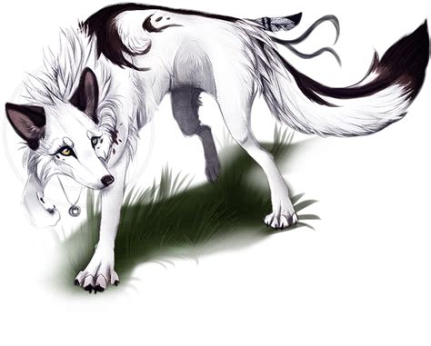 Gene White And Black Male Wolf Is Kind Loyal And Is A Total Flirt With
