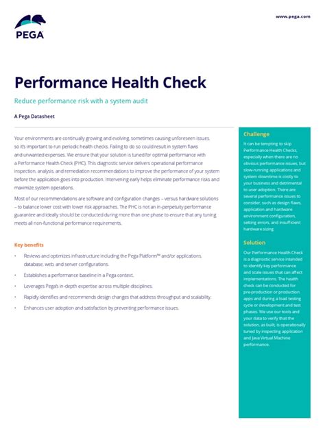 Performance Health Check Pdf Business Computer Engineering