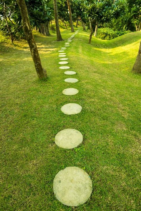 Peaceful Path In A Green Park Stock Photo Image Of Green Grove 81246690