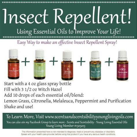 To avoid deterioration and protect the aromatic and therapeutic qualities of the essential oils, store them in amber or cobalt blue bottles to prevent them from damaging sunlight. Insect repellent | Essential oil recipes, Essential oil ...