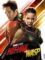 Ant-Man and the Wasp: Netflix Canada offre le film avec audio francais ...